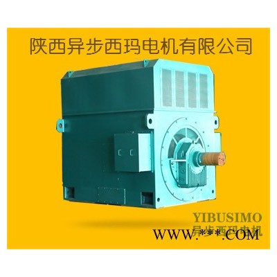 原西安电机厂 YJTKK4503-2/630KW/6000V/B3卧式安装/F级绝缘 变频电机图2