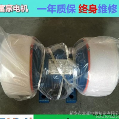 直销XVM-8-2振动电机0.75KW功率一年质保终身维修图3