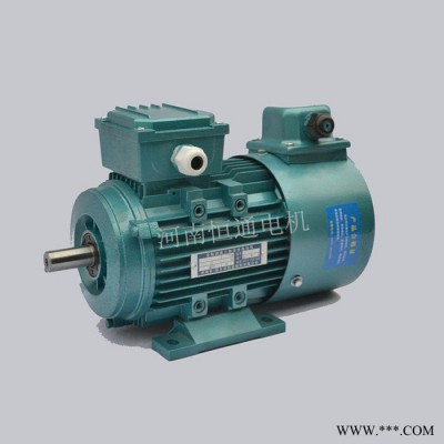 千业牌 1/2HP铝壳变频电机厂家  1/4HP3/4HP 河南 新乡质量可靠 实现三包图6