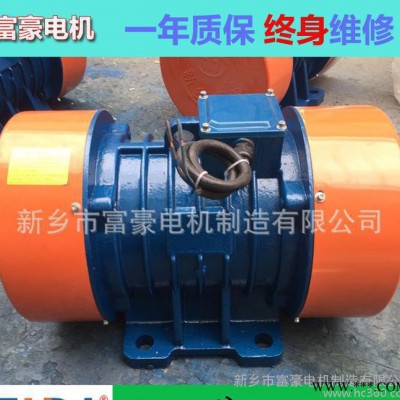 定XVM-30-6振动电机2.2KW一年质保终身维修图3