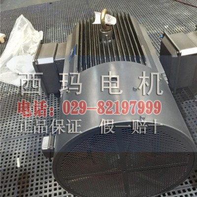 YVFE2-355M-2/250KW  IP55 高效变频电机 可根据要求定制图2