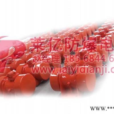 供应莱亿YBZU煤矿用防爆振动电机图3