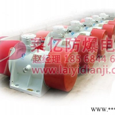 供应莱亿YBZU煤矿用防爆振动电机图2