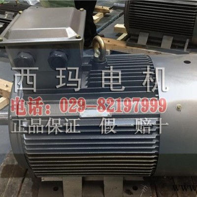 YVFE3-355L1-6 220KW 401A IP55 高效变频电机 可根据要求定制图3