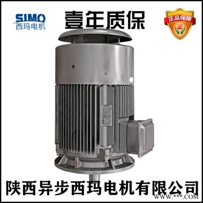 西玛变频电机 YVFE2-3551-2/355KW 380V 交流电机图5