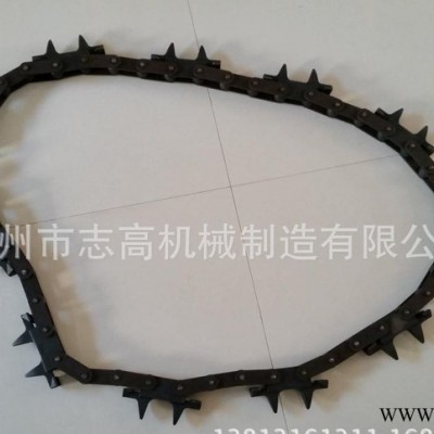 TXJ-206型驱动链条 变频电机驱动装置的链条  涂装驱动链条图2