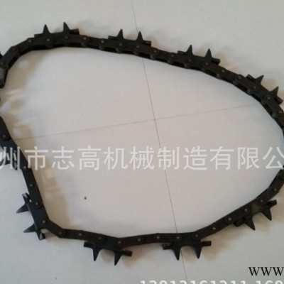 TXJ-206型驱动链条 变频电机驱动装置的链条  涂装驱动链条图3
