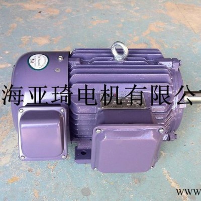 正宗YVF高速变频电机 上海工厂现货图1