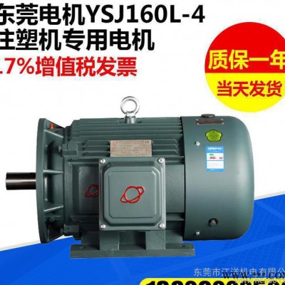 变频电机 YSJ160L-4注塑机专用电机 三相异步电动机 调速马达定制图2