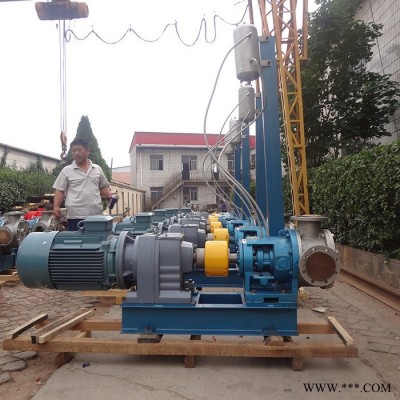 高粘度输送泵用NYP220-RU-T1-W11配变频电机XWD18.5KW-8-9图3
