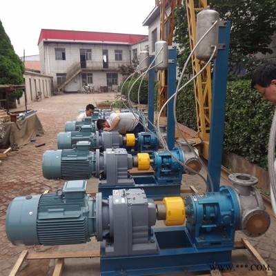 高粘度输送泵用NYP220-RU-T1-W11配变频电机XWD18.5KW-8-9图4