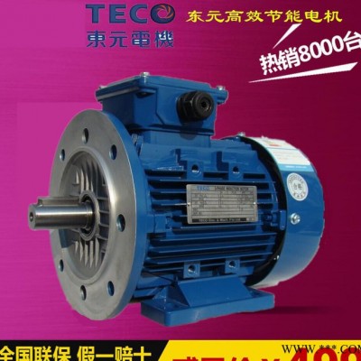 TECO东元变频电机AEEFVSQQ  1HP 0.75KW图2