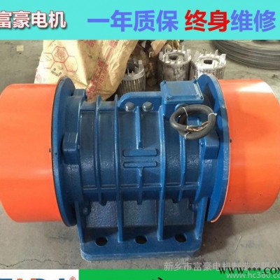 **VB-100756-W振动电机 矿山设备洗煤筛分振动专用图3
