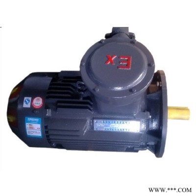 供应YBPT防爆变频电机(0.12kw-4)变频电机图4