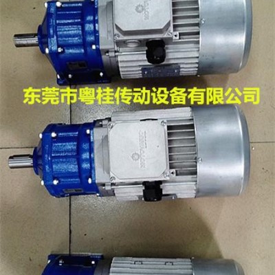 原装进口意大利MOTOVARIO电机 SD变频电机图3