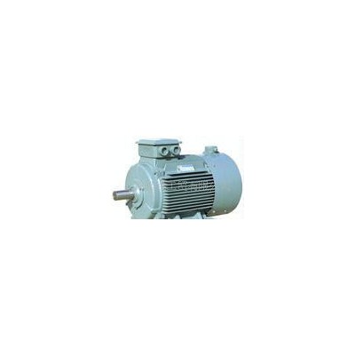 YTSZ变频电机(加制动器) YTSZ250M-6图3