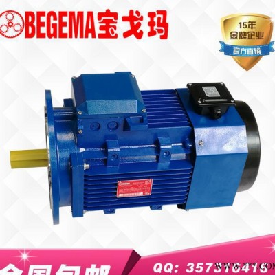 专业订做美国标准480V电压60HZ频率YVP变频电机5.5kw图3