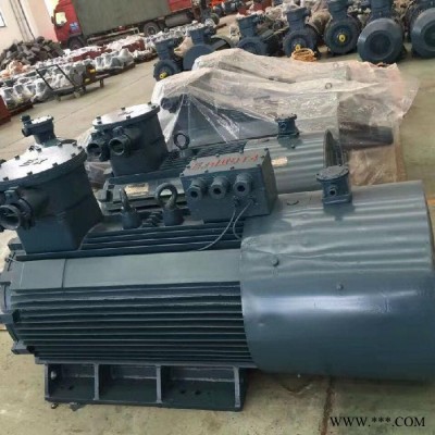 变频防爆电机(防爆电机）YBPT2-200L-4 30kW  防爆电机图4