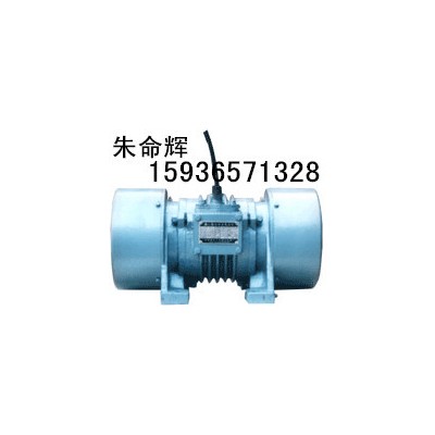 供应YZDP-8-4振动电机 功率0.4KW 朱命辉防爆振动电机直销图1