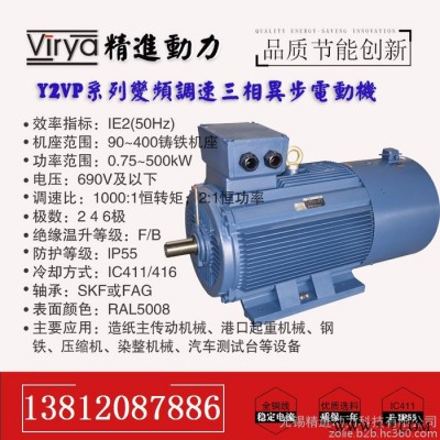 Virya/精进 变频电机 节能调速变频电动机图2