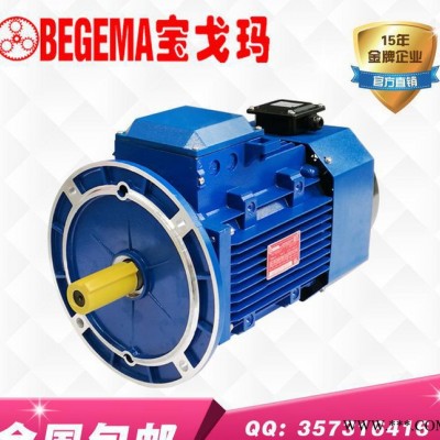 现货意大利BEGEMA变频电机BYVP5.5kW380V厂价直销图3