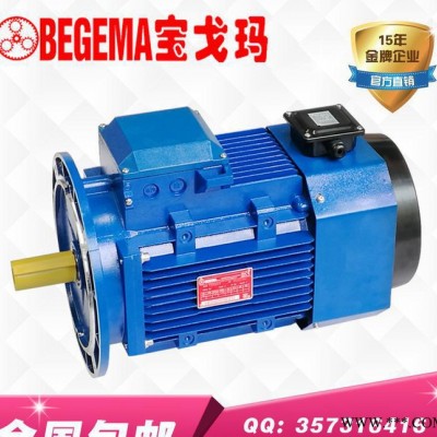 现货意大利BEGEMA变频电机BYVP5.5kW380V厂价直销图2