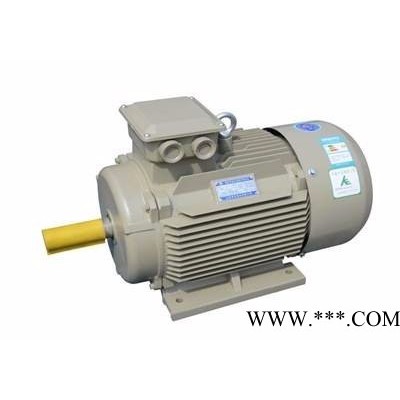 弗兰德22kw变频电机、现货弗兰德22kw电机图5