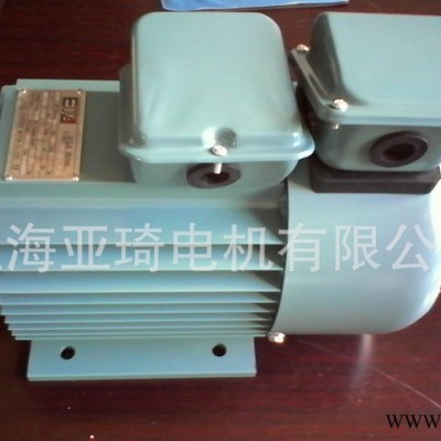45KW2极4极6极变频电机 YP/YVP/YVF/YVF2高转速正宗变频电动机图1