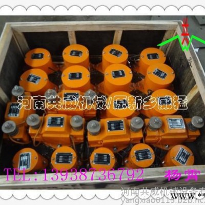 CZ250-CZ200电磁振动器-电动机/振动电机图2