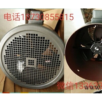 衡水永动Q180 变频电机通风机图2