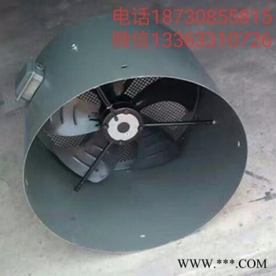 衡水永动Q180 变频电机通风机图3