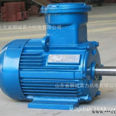 专业加工生产 防爆电机YB200L-4  三相防爆变频电机 防爆电机30kw图3
