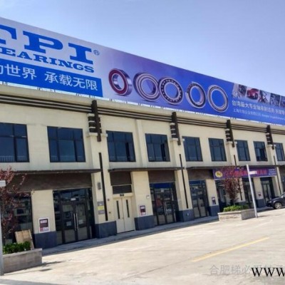 TPI-6905LLUCM/5K新能源微型电机领域 伺服电机专用 高精度进口轴承图3