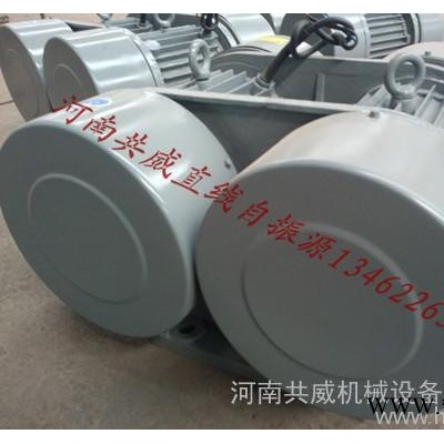 WHZY-2*20-4   2*2kw振动电机 给料机配直线图1