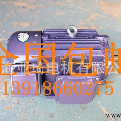 青浦变频电动机 变频电机 变频调速电机现货图2
