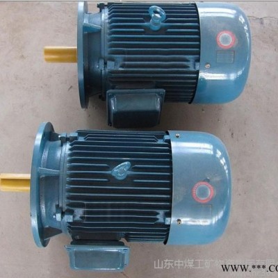 防爆电机YBK2-11KW-2     防爆电机专业设计   YBK2-11KW-2防爆电机图1