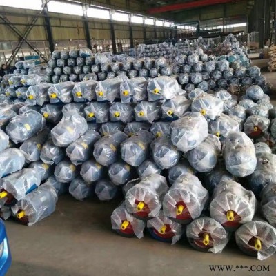 隔爆型电机( 防爆电机) YB3-80M2-4 0.75 kW  防爆电机图2