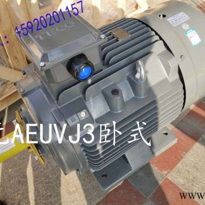 TECO/东元AEEFF3 22KW变频电机380V 30HP挤出机调速专用可预留编码器位置图1