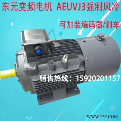 TECO/东元AEEFF3 22KW变频电机380V 30HP挤出机调速专用可预留编码器位置图2