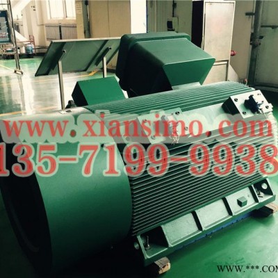 YB2-5002-6 630KW 6KV IP54 ExdⅡBT4 Gb隔爆型防爆电机图3