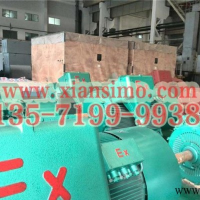 YB2-5003-8 500KW 6KV IP54 ExdⅡBT4 Gb隔爆型防爆电机图3