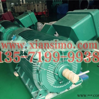 YB2-5002-8 450KW 6KV IP54 ExdⅡBT4 Gb隔爆型防爆电机图2