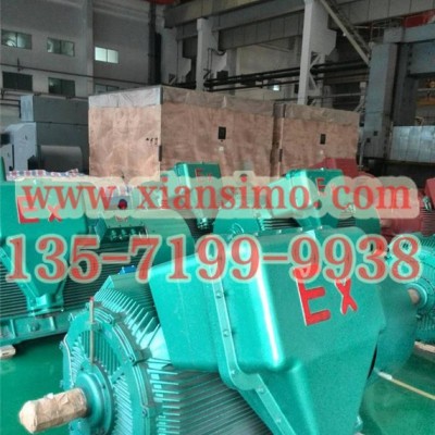 YB2-5002-8 450KW 6KV IP54 ExdⅡBT4 Gb隔爆型防爆电机图3