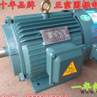 Y2VP三相变频电机/变频电动机/YVP100L2-4  3kw【一年包换】图3
