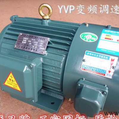 Y2VP三相变频电机/变频电动机/YVP100L2-4  3kw【一年包换】图2