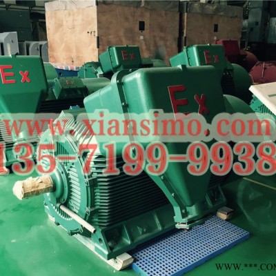 YB2-4504-6 500KW 6KV IP54 ExdⅡBT4 Gb隔爆型防爆电机