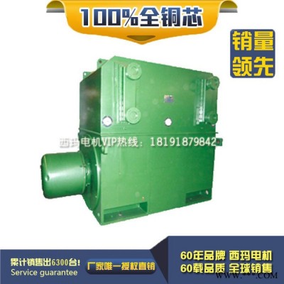 西玛高压防爆电机YB2-4502-6厂价直销图1