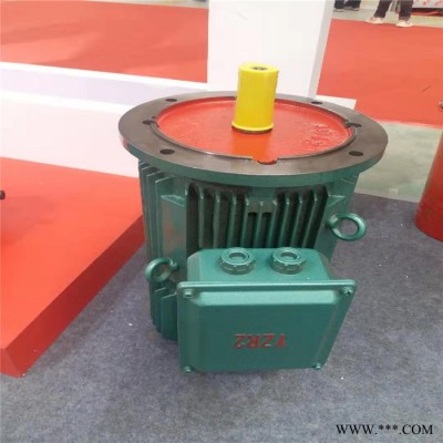 **  各型号行吊电机 桥式起重机电机  防爆电机 5吨行吊电机 龙门行吊电机图6