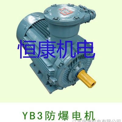 恒康YB3隔爆型防爆电机图2