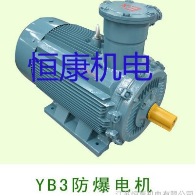 恒康YB3隔爆型防爆电机图3